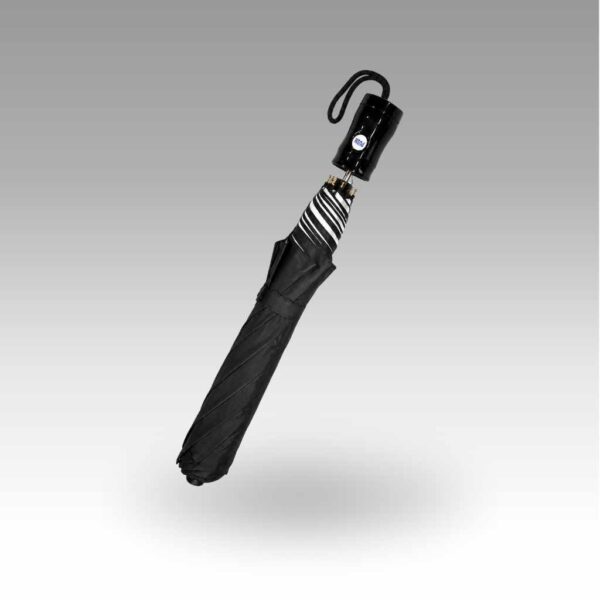 Umbrellas-2 Umbrella | Rain Umbrella | Foldable Umbrella | Windproof Umbrella | Compact Umbrella