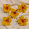 Gemini_Generated_Image_kkpu7okkpu7okkpu Yellow Hibiscus Flower Pack of 5 | Bright Floral Accent | Ganpati Decor | Festive Home Styling